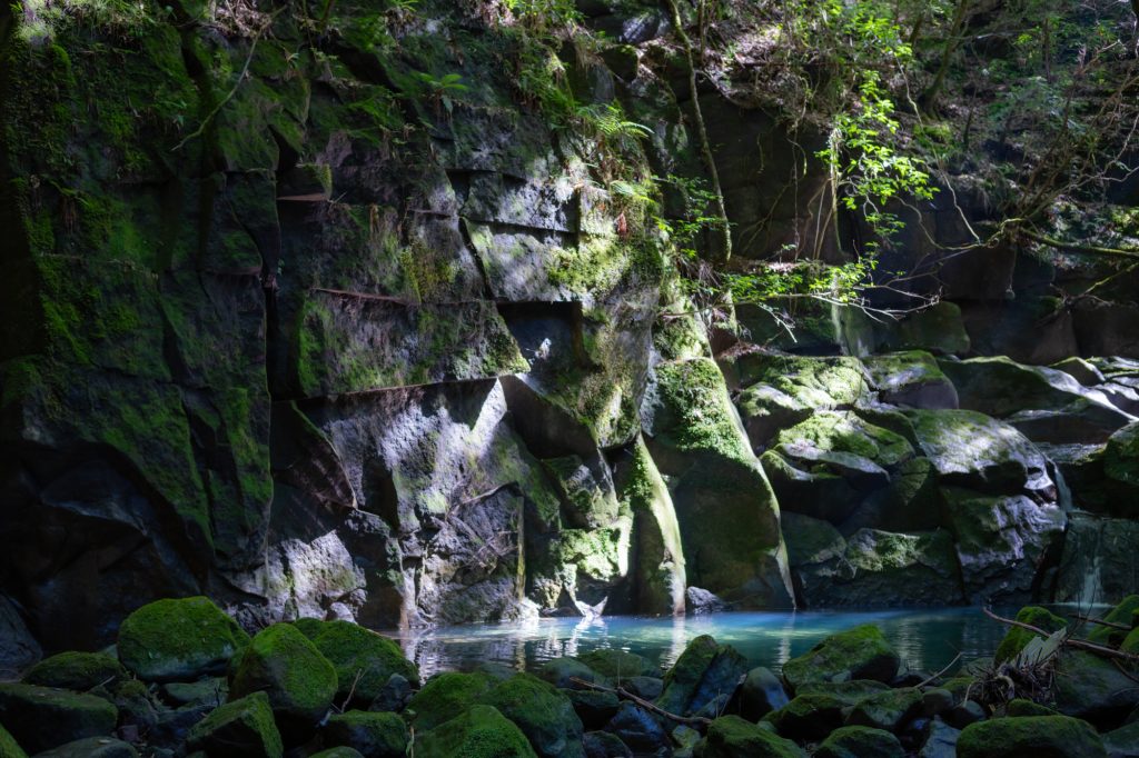 源流の森づくり