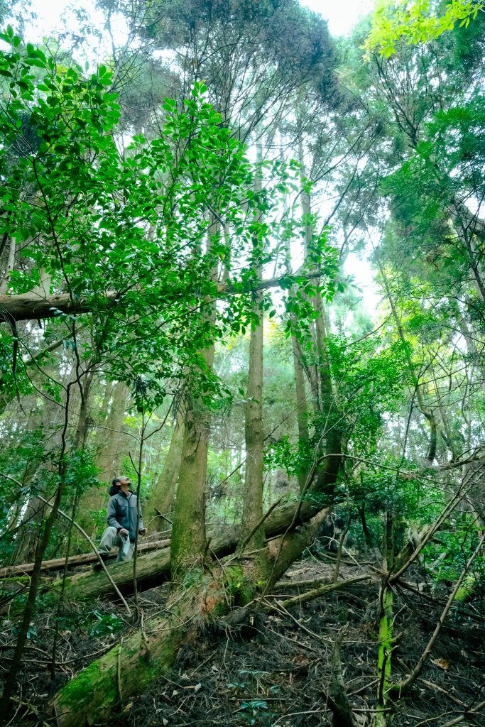 八女星野山林譲渡寄付視察