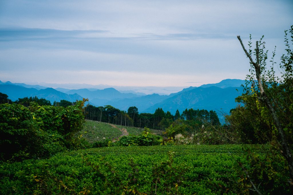 八女星野山林譲渡寄付視察