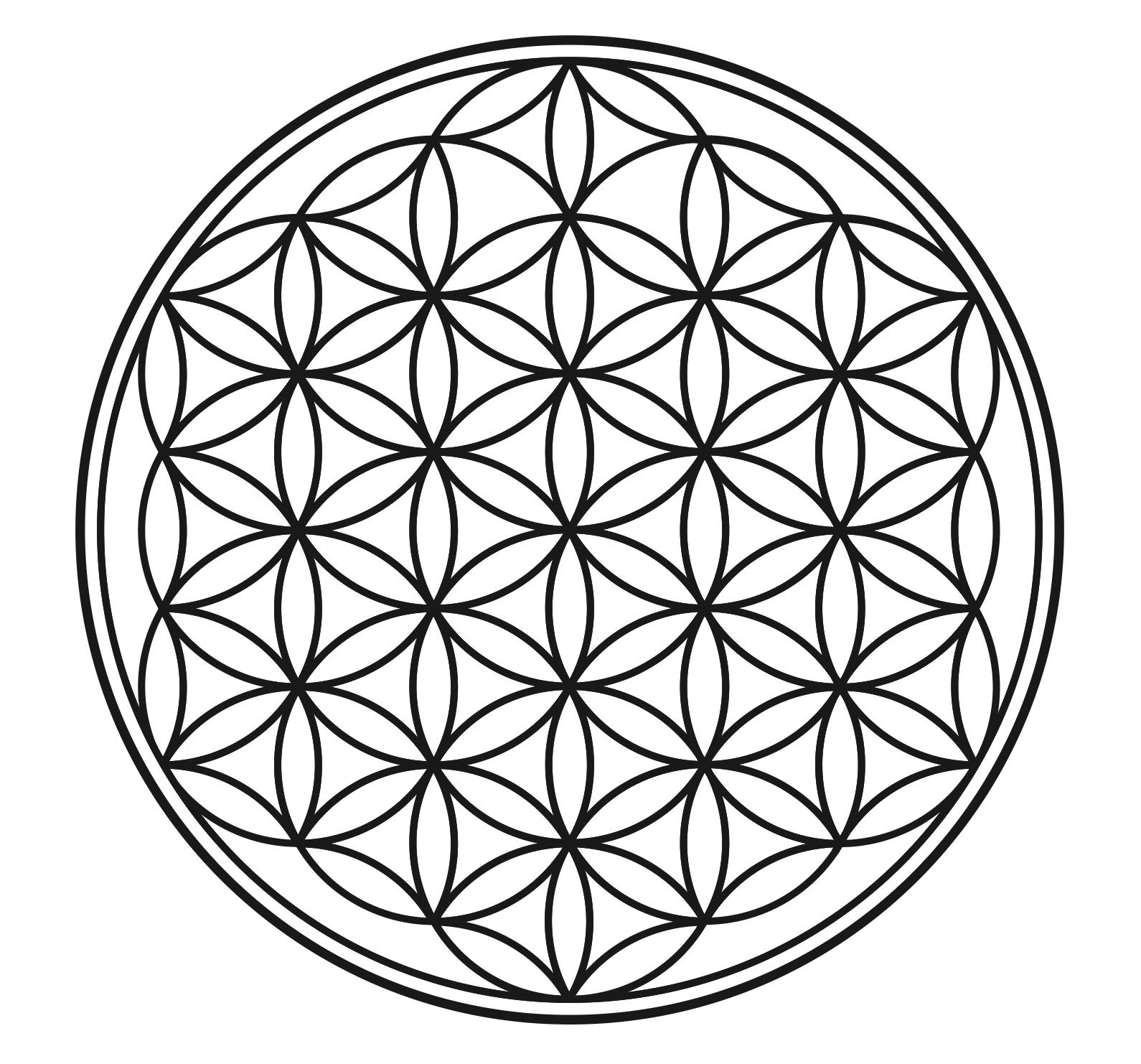 NPO法人 源流の森づくり